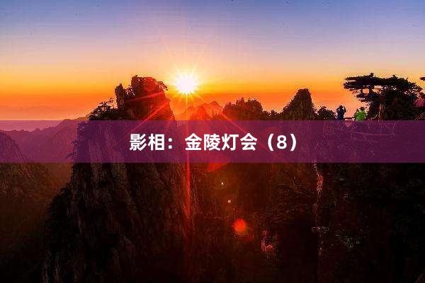 影相：金陵灯会（8）