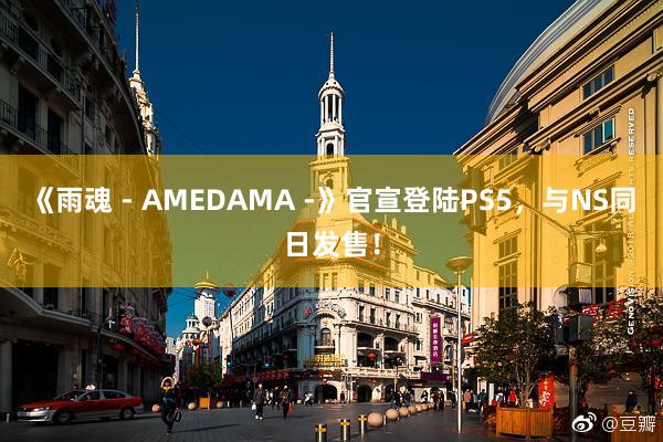 《雨魂 - AMEDAMA -》官宣登陆PS5，与NS同日发售！