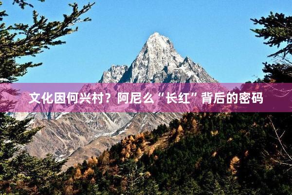 文化因何兴村？阿尼么“长红”背后的密码