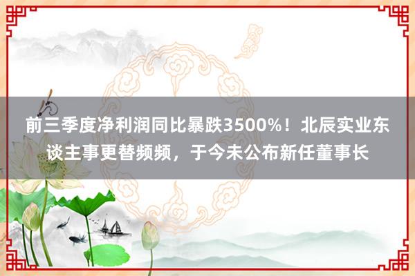 前三季度净利润同比暴跌3500%！北辰实业东谈主事更替频频，于今未公布新任董事长