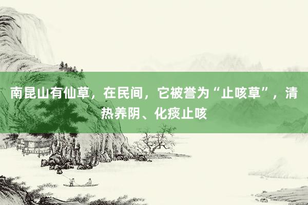 南昆山有仙草，在民间，它被誉为“止咳草”，清热养阴、化痰止咳