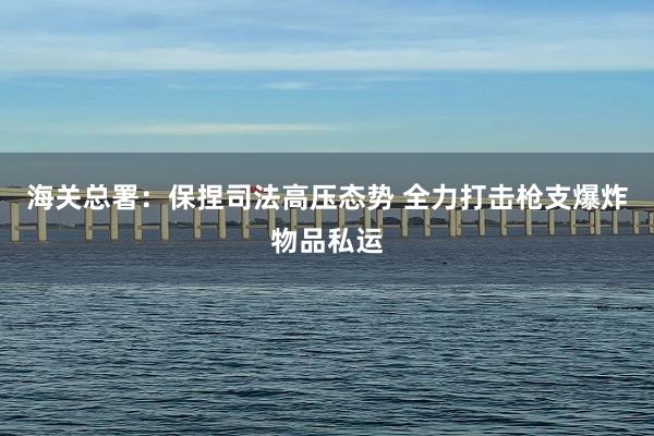 海关总署：保捏司法高压态势 全力打击枪支爆炸物品私运