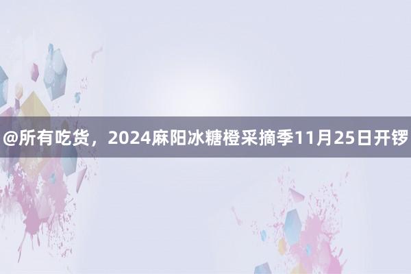 @所有吃货，2024麻阳冰糖橙采摘季11月25日开锣